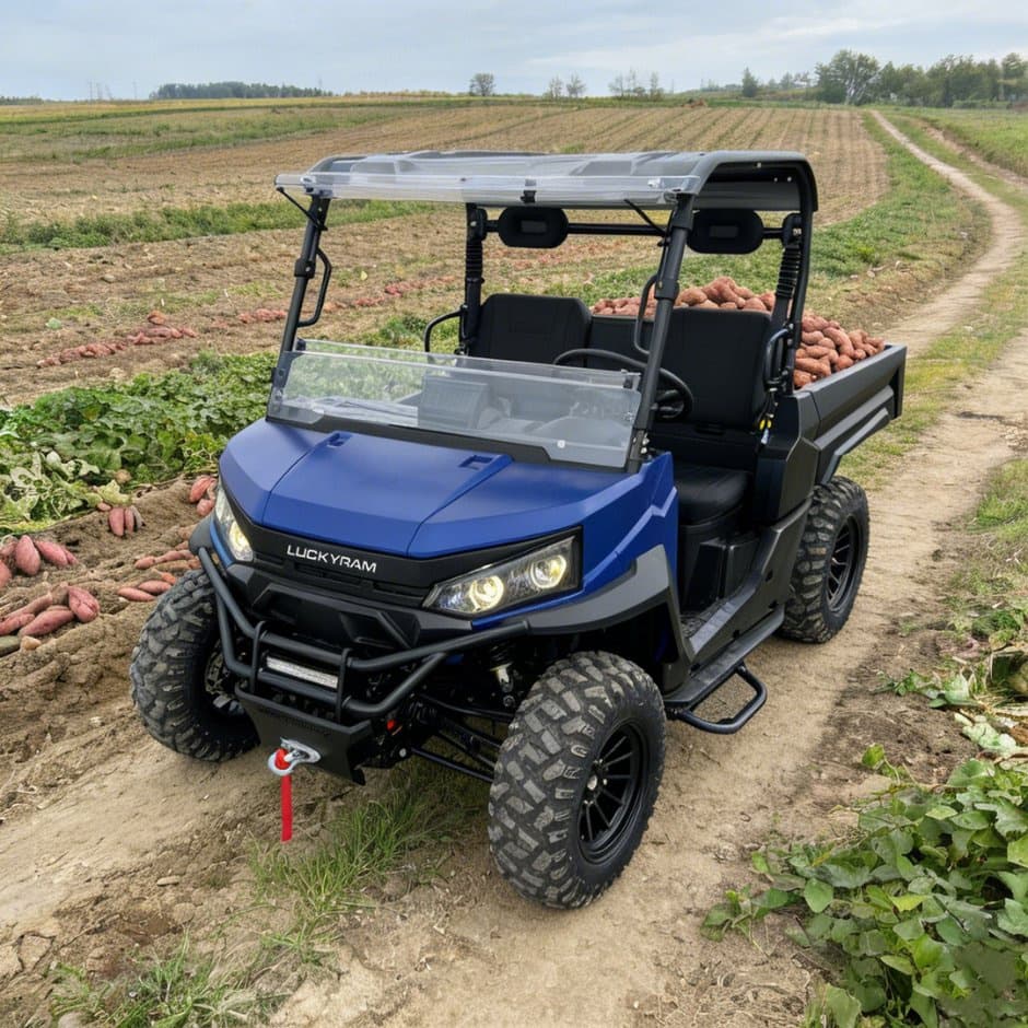 73,6V 4WD UTV 10kw AC Motor EPS Styretøj 150ah batteri